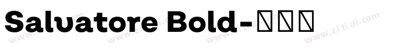 Salvatore Bold字体转换 Salvatore Bold字体转换